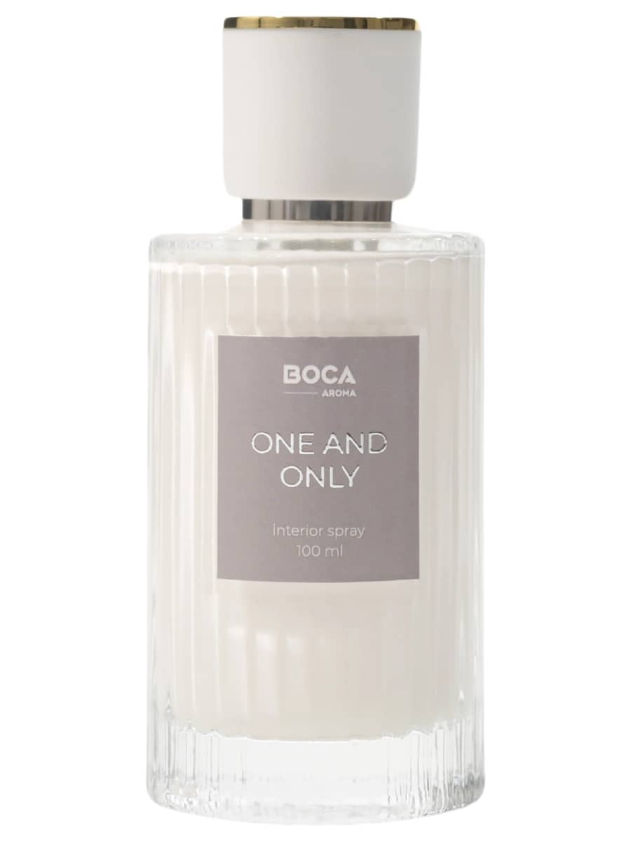 BOCA Интерьерный спрей для текстиля «Сухой лес, Древесина» One and Only Interior Spray 100 мл