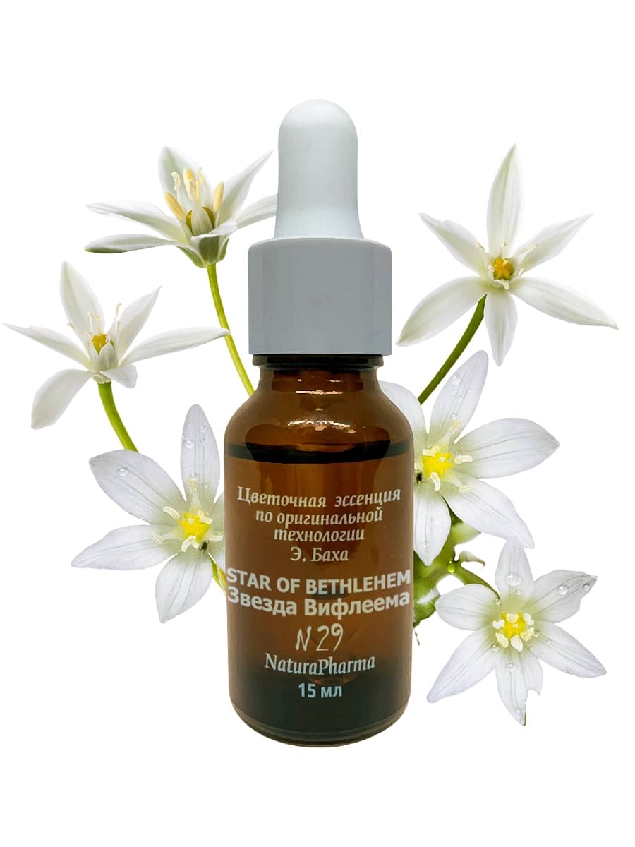 NaturaPharma Цветочная эссенция Баха №29 Звезда Вифлеема – Цветок утешения Stаr of Веthlehem 15 мл
