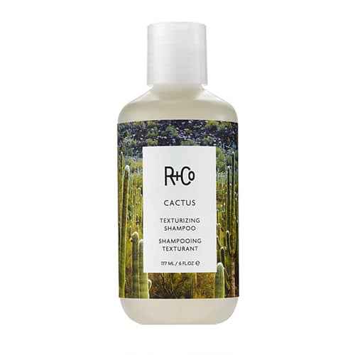 R+Co Текстурирующий шампунь «Кактус» Cactus Texturizing Shampoo 177 мл