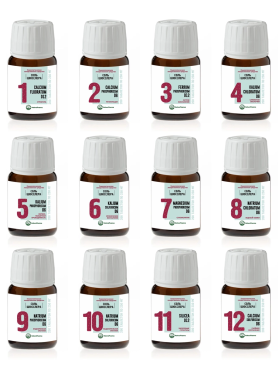 NaturaPharma Набор солей Шюсслера №1-12 80 таблеток х 12 шт